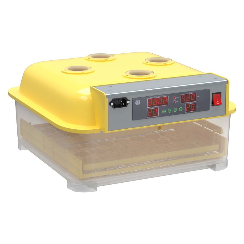 Automatic 48-Egg Incubator