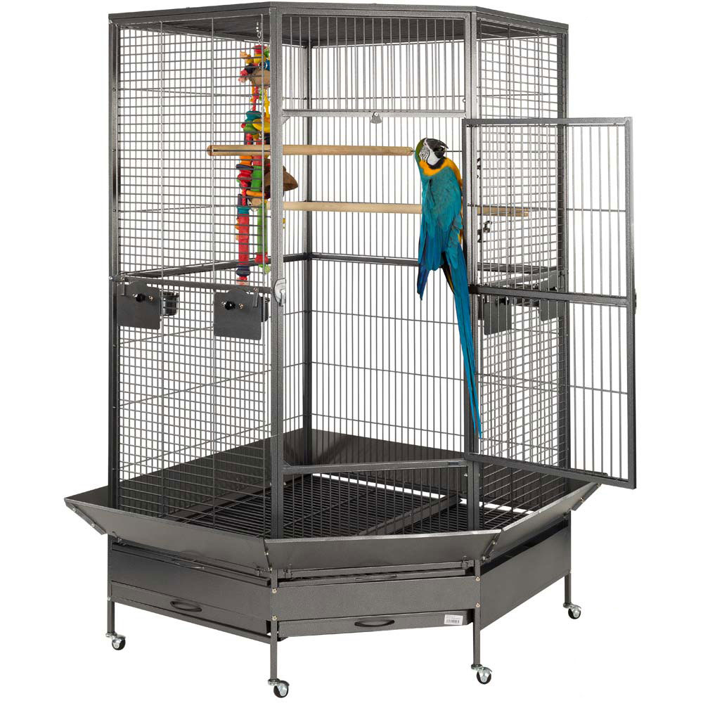 Raleigh Large Solid Top Corner Parrot Cage Liberta 2nd Edition